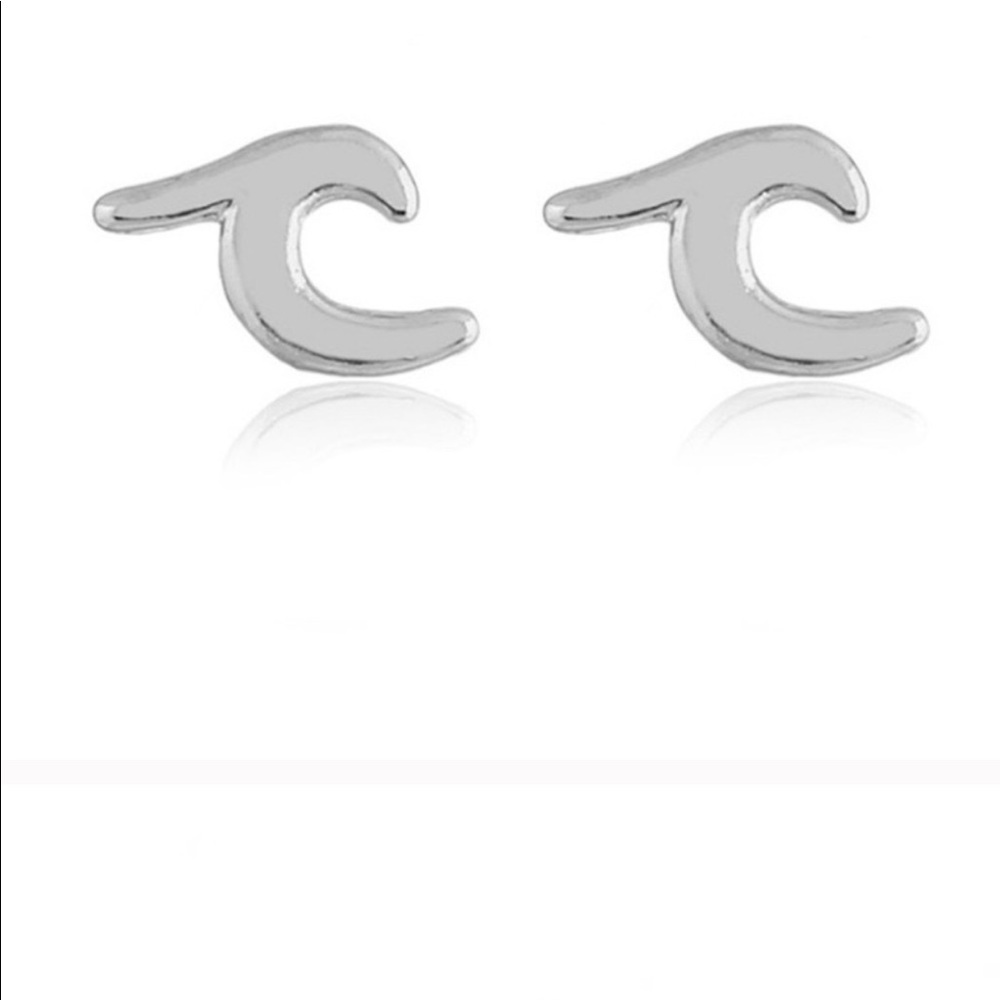 🍍Silver Wave Earring